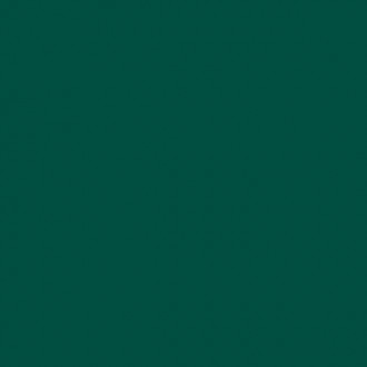 Спортивный линолеум Tarkett OMNISPORTS R65 FOREST GREEN Спортивный линолеум Tarkett OMNISPORTS R65 FOREST GREEN